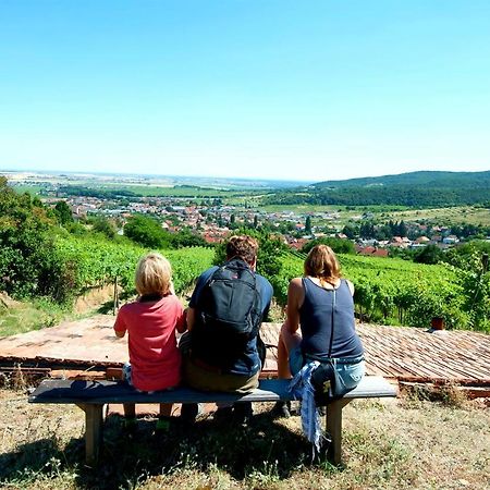 Villa Vinica Limbach Exteriör bild