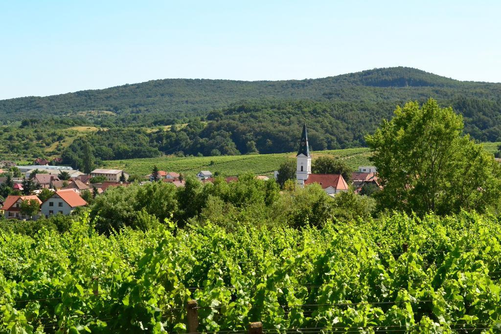 Villa Vinica Limbach Exteriör bild