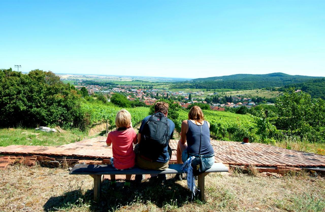 Villa Vinica Limbach Exteriör bild